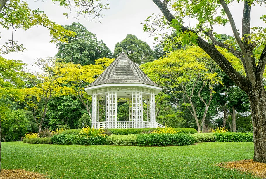 Singapore Botanic Gardens, 